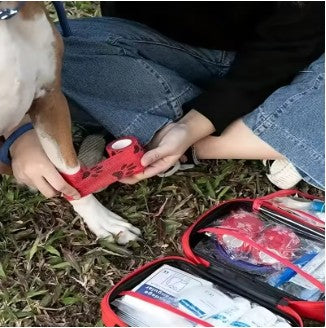 Pet First Aid Kit for Dogs & Cats Emergency Travel & Home Care Set