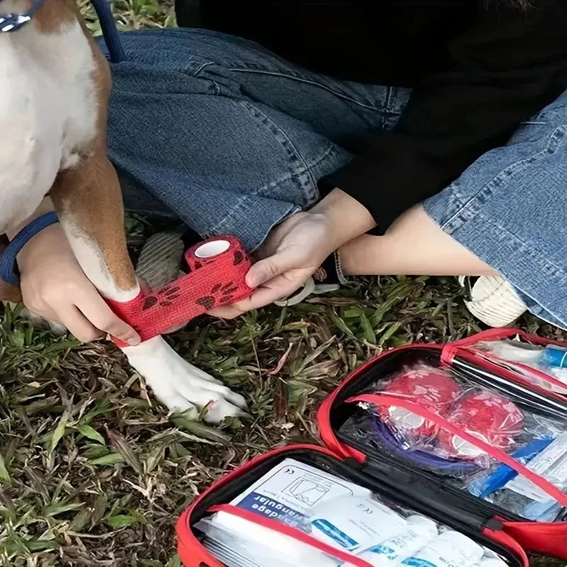 Pet First Aid Kit – Compact Emergency Care for Dogs & Cats