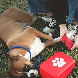 Pet First Aid Kit for Dogs & Cats Emergency Travel & Home Care Set